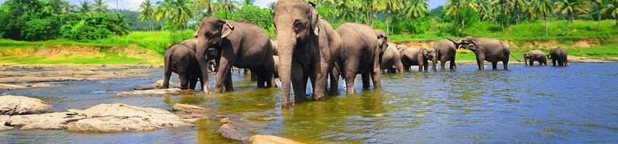 Sri Lanka